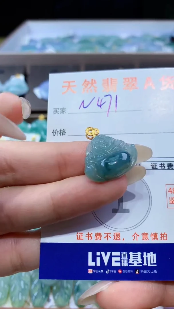 颈饰未镶嵌翡翠天然翡翠A货挂件