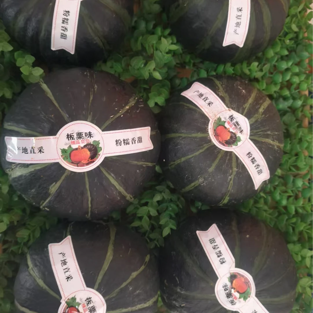 W正宗贝贝南瓜板栗味小南瓜宝宝辅食孕妇粗粮代餐