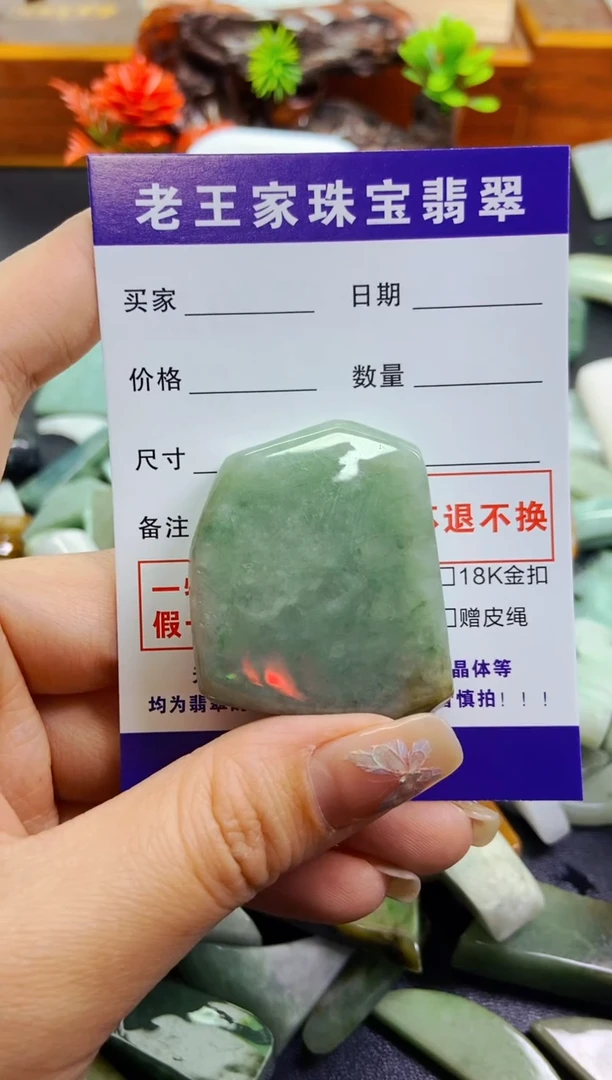 【闪购商品】翡翠颈饰未镶嵌料子