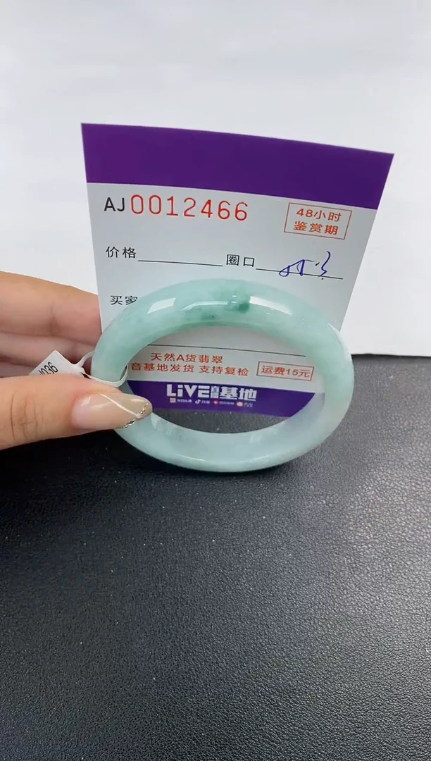 未镶嵌手镯翡翠天然A货翡翠