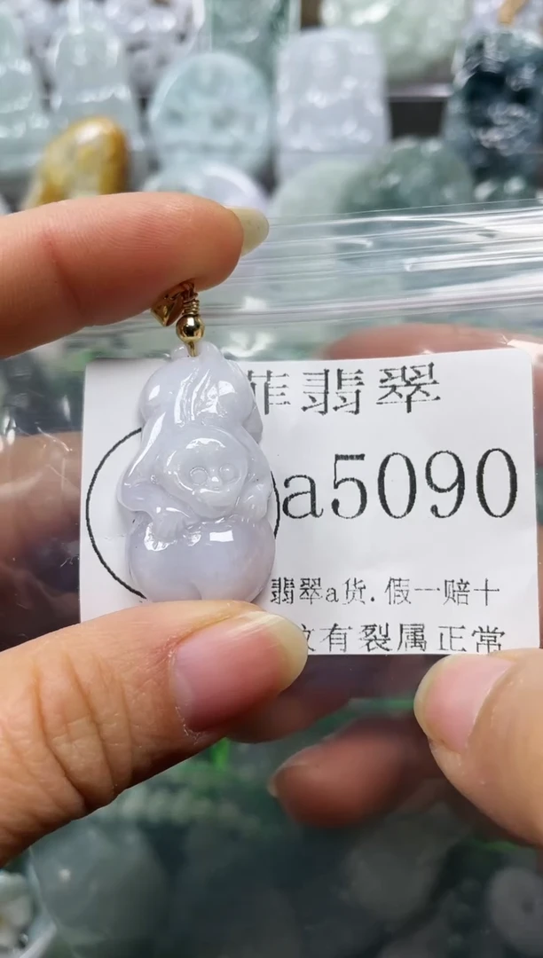 【闪购商品】翡翠颈饰未镶嵌闪购5090