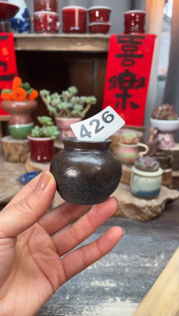 【闪购商品】摆件426知木小芳花盆