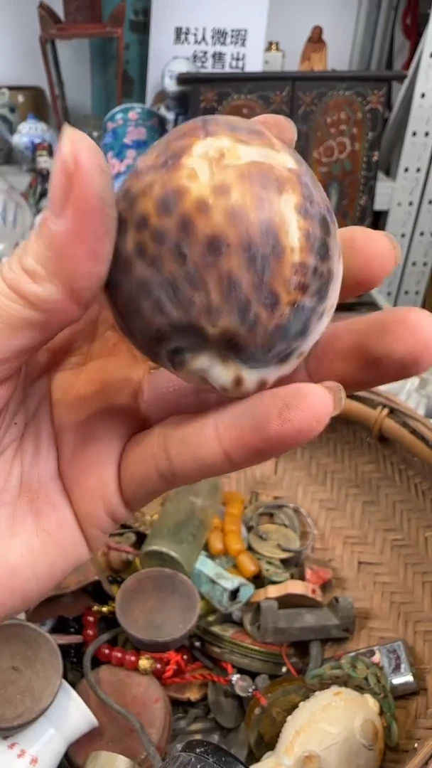 空**兰1111111111111