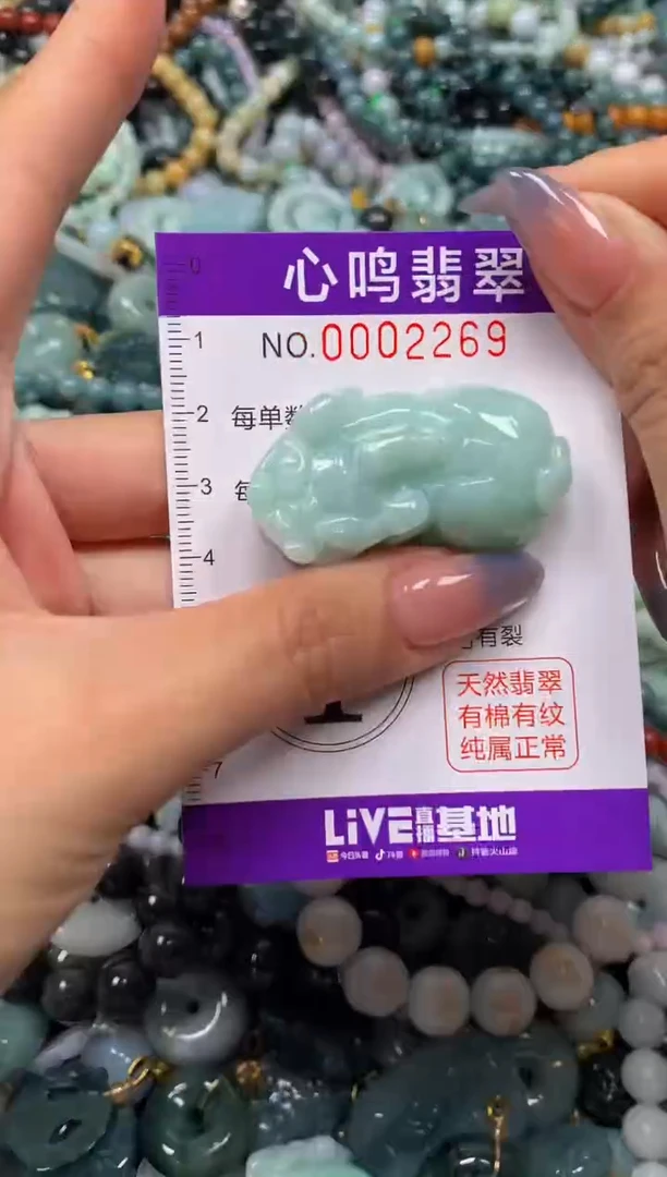 颈饰未镶嵌翡翠闪购002269