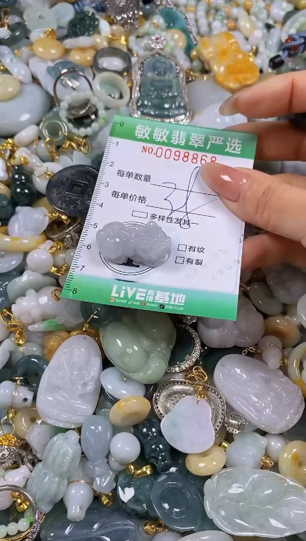 【闪购商品】翡翠颈饰未镶嵌闪购0098868