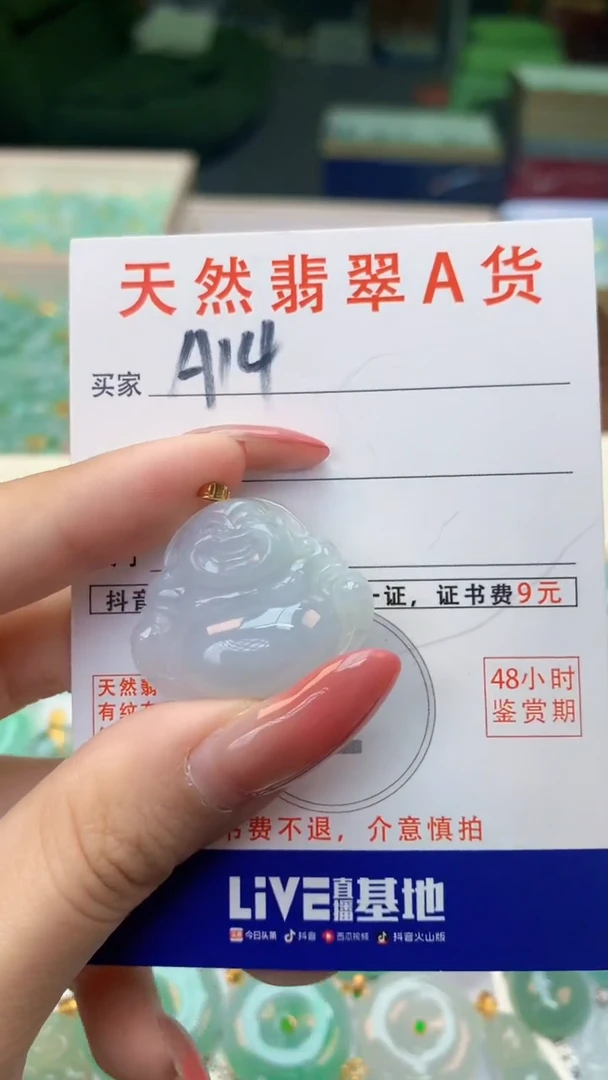 颈饰未镶嵌翡翠天然A货翡翠挂件