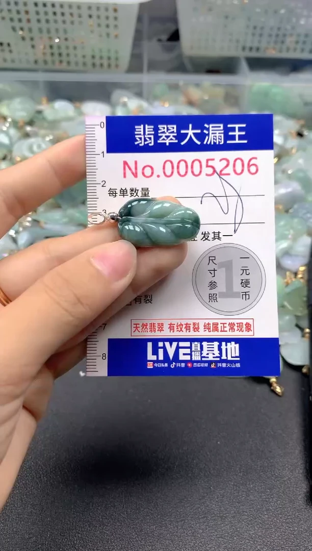 颈饰未镶嵌翡翠5206
