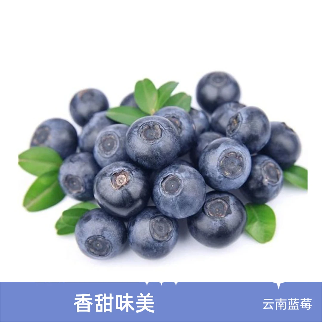 【抖音小时达】云南蓝莓3盒(13-15mm)蓝莓同城送云南省