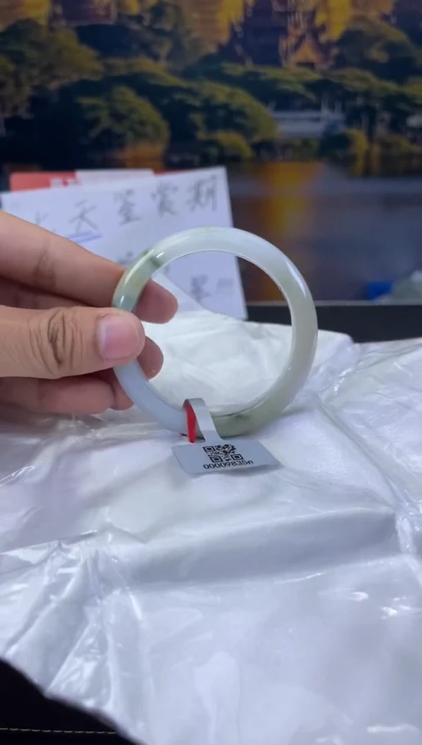 未镶嵌手镯翡翠3