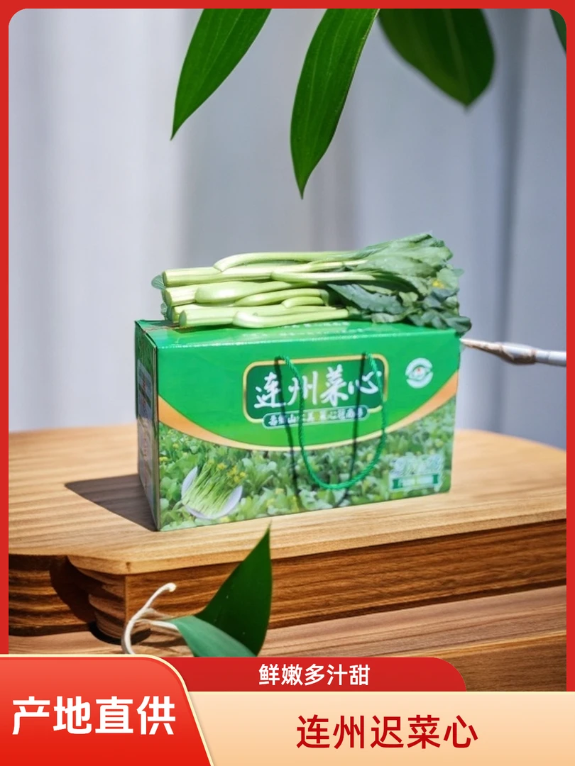 连州迟菜心现摘现发油麦菜鲜嫩多汁软甜爽口新鲜采摘产地直供菜苔