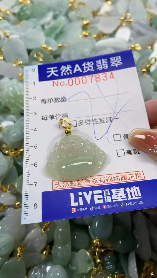 颈饰未镶嵌翡翠天然A货翡翠