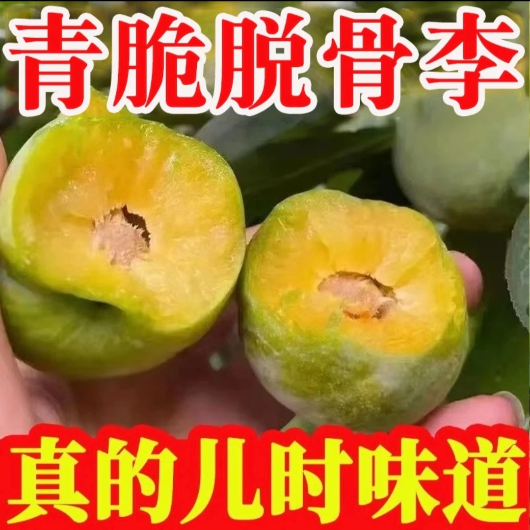 正宗农家脱骨李青脆李酸甜可口清脆现摘现发Z