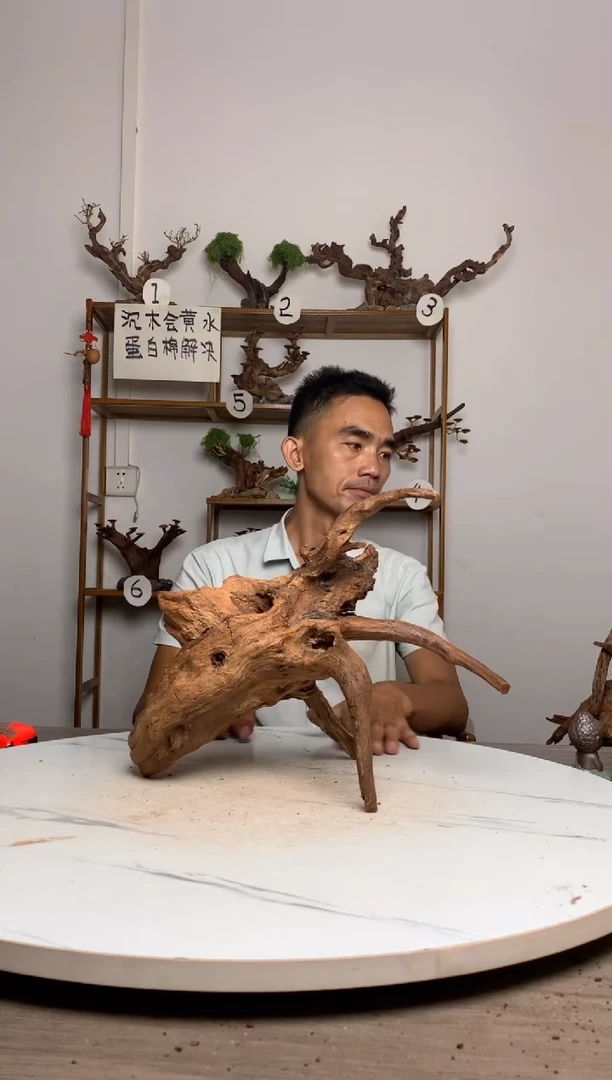 邓*子鱼缸造景沉木摆件