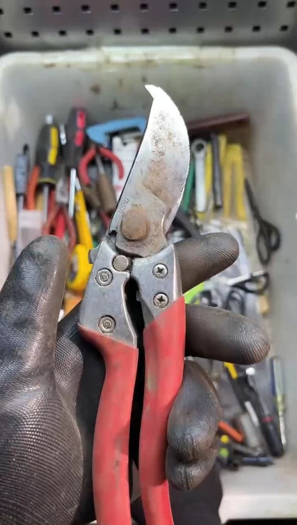 镁F*阿古工具工具工具