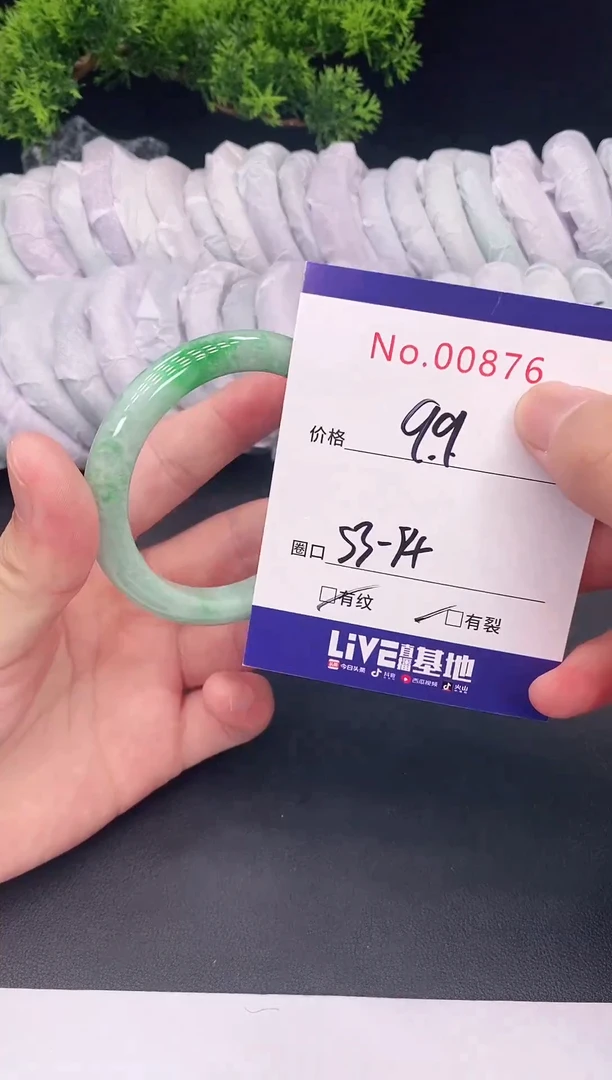 未镶嵌手镯翡翠00876