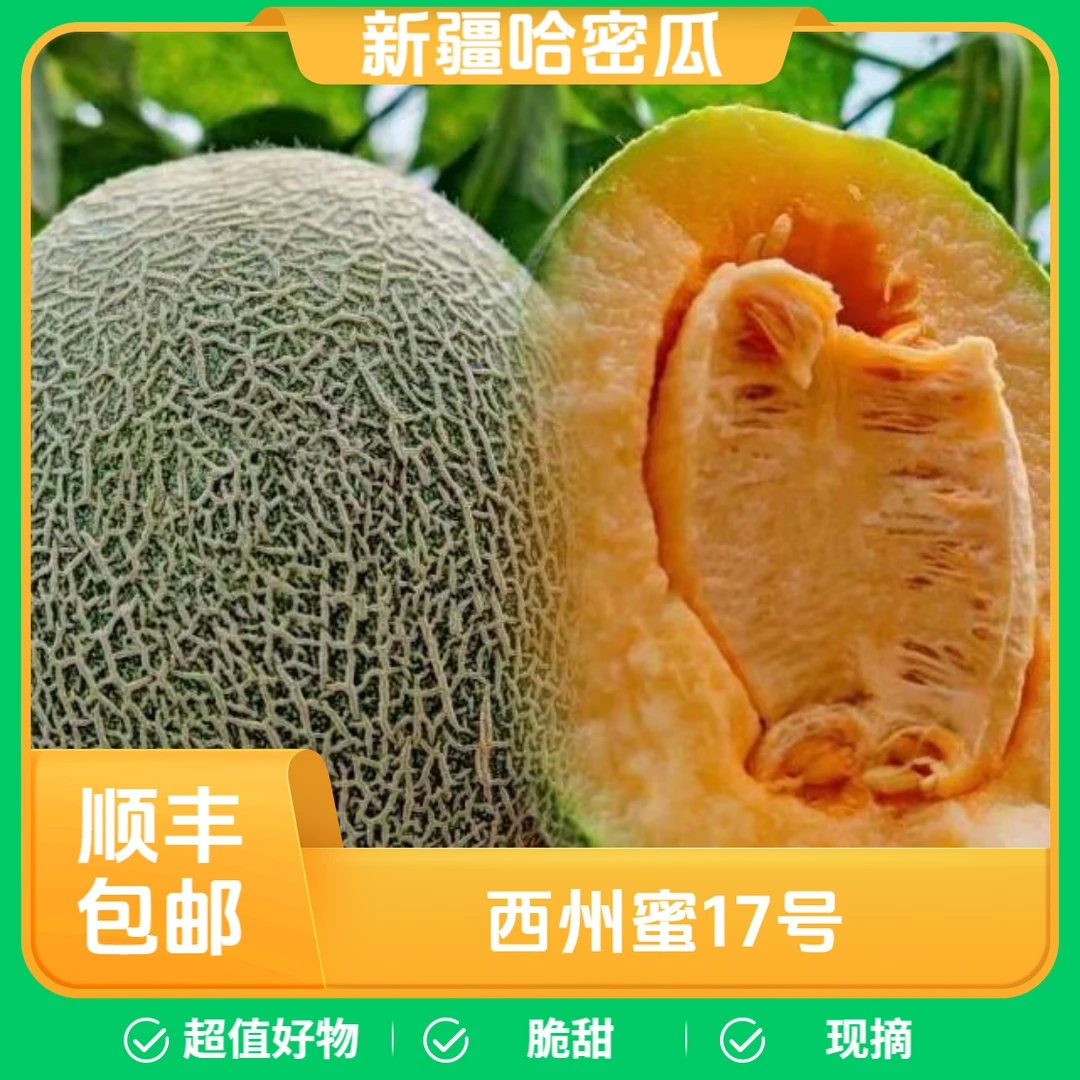 【顺丰陆运】新疆哈密瓜西州蜜17号软糯脆甜正宗新疆哈密瓜新鲜大果