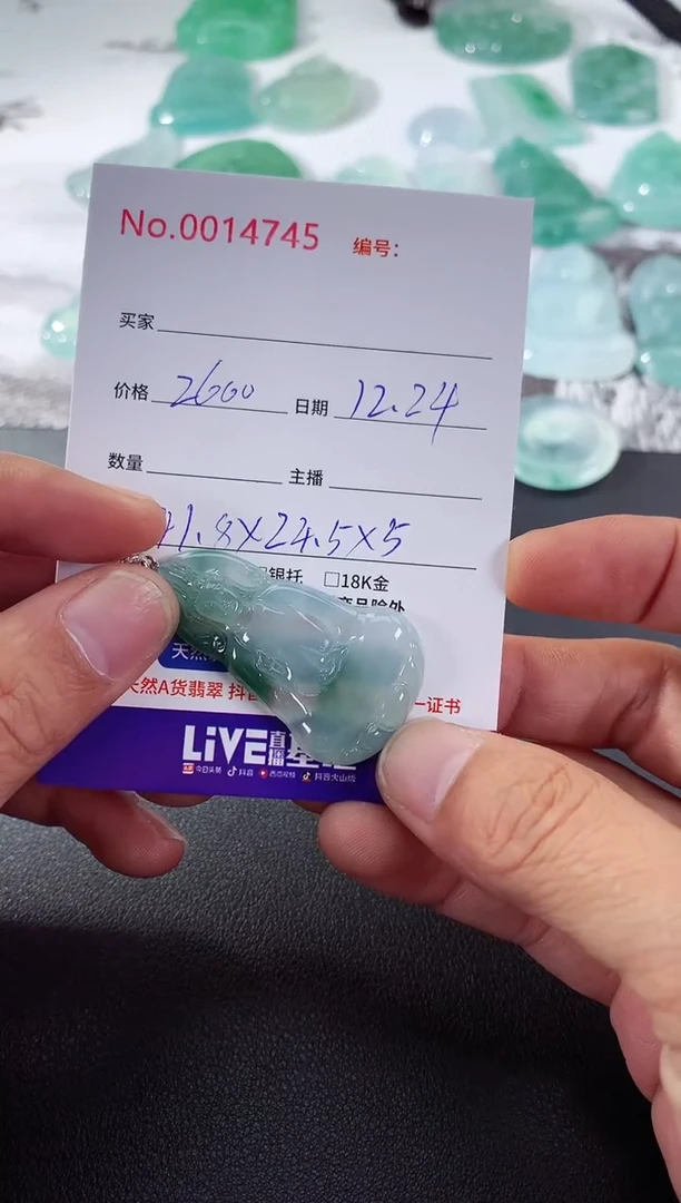 颈饰未镶嵌翡翠素衣