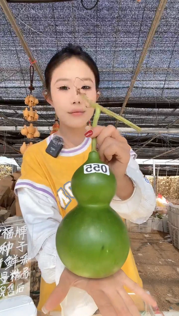 055天然葫芦摆件 一物一拍龙头不保售后