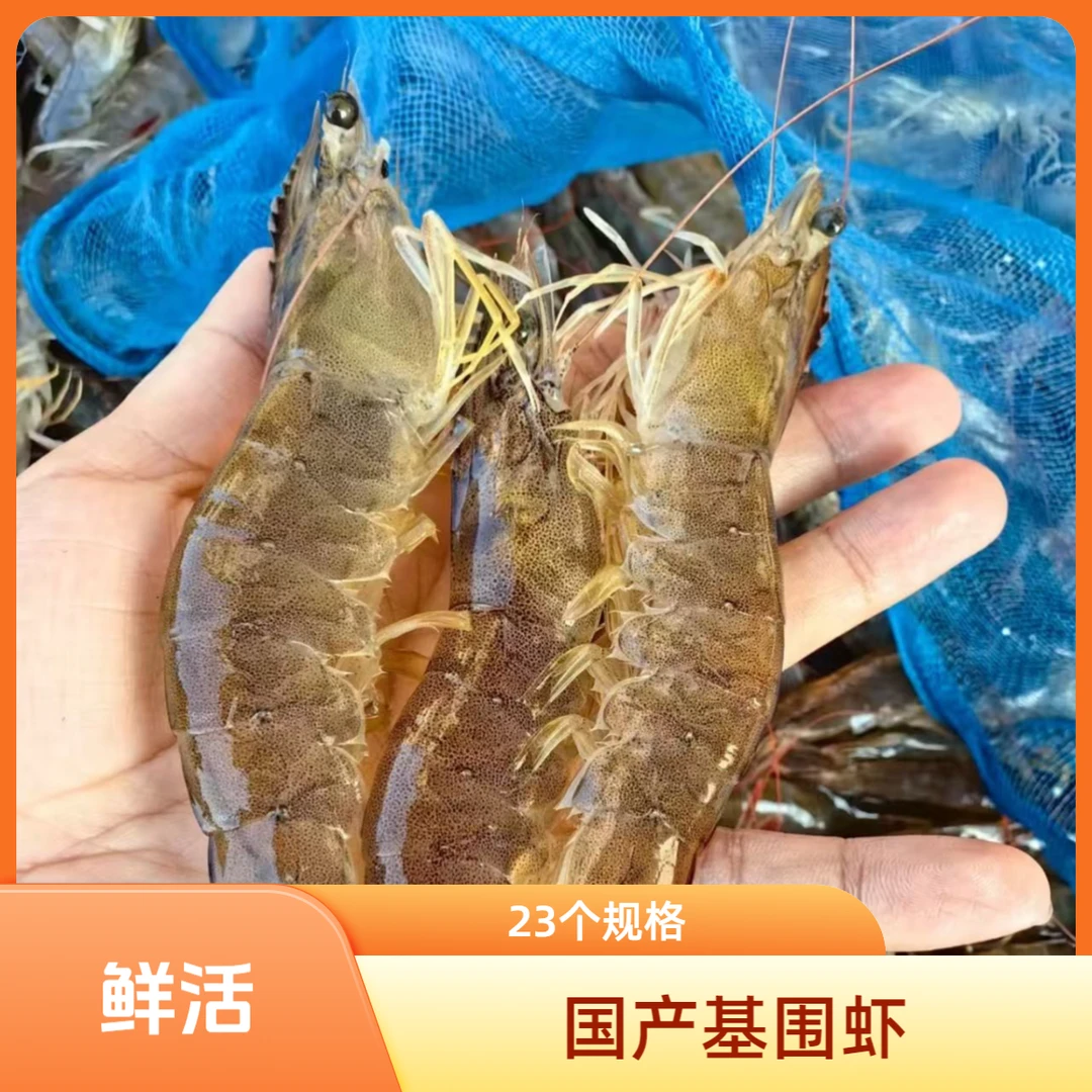 鲜活基围虾