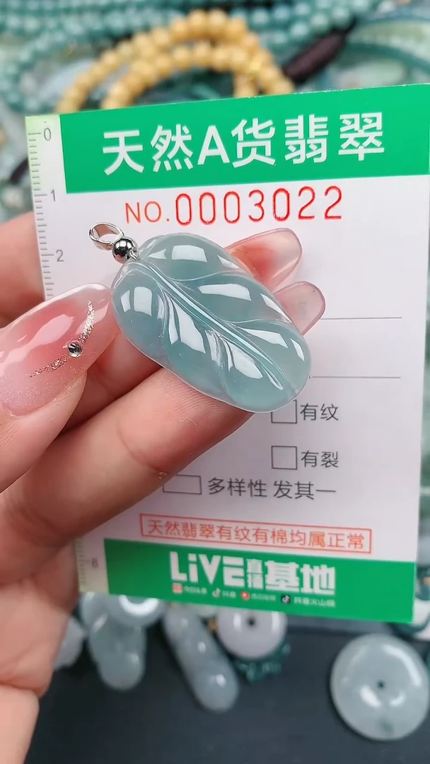 颈饰未镶嵌翡翠.0003022