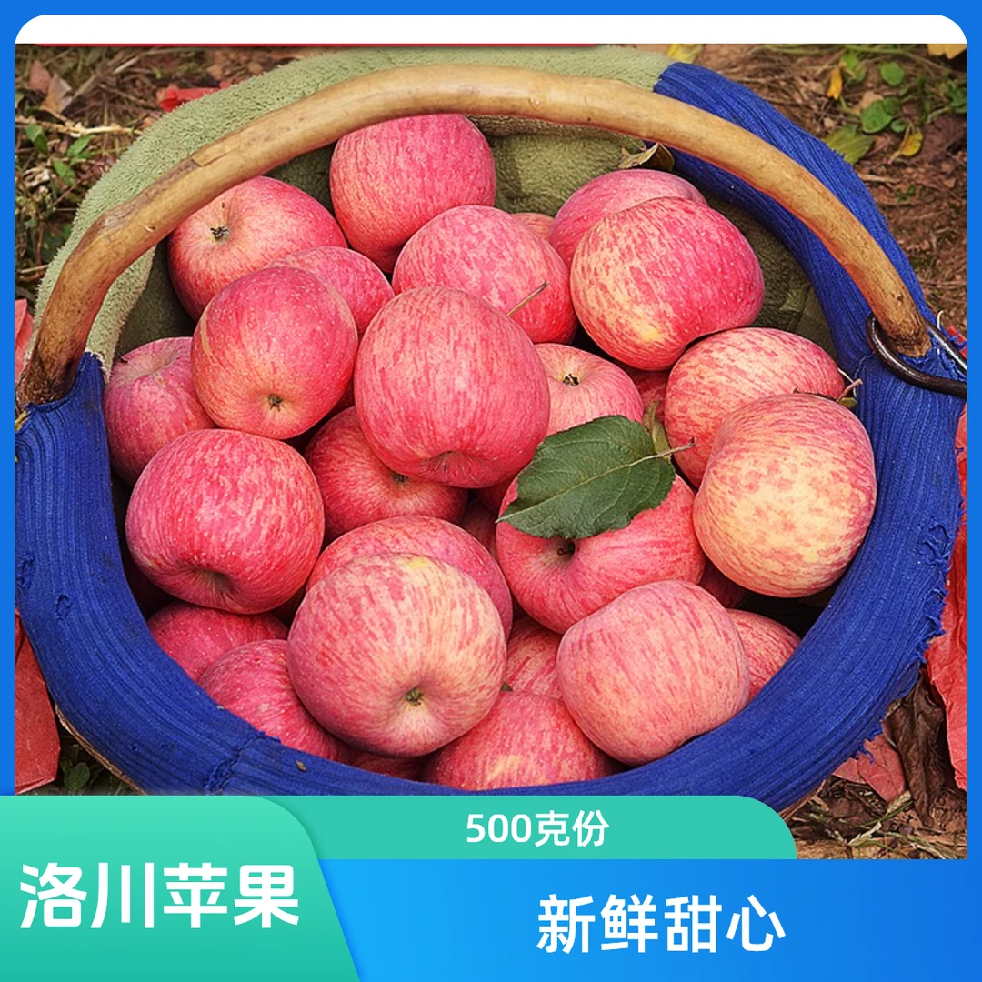 【鲜果配送】洛川糖心苹果 约500g/份
