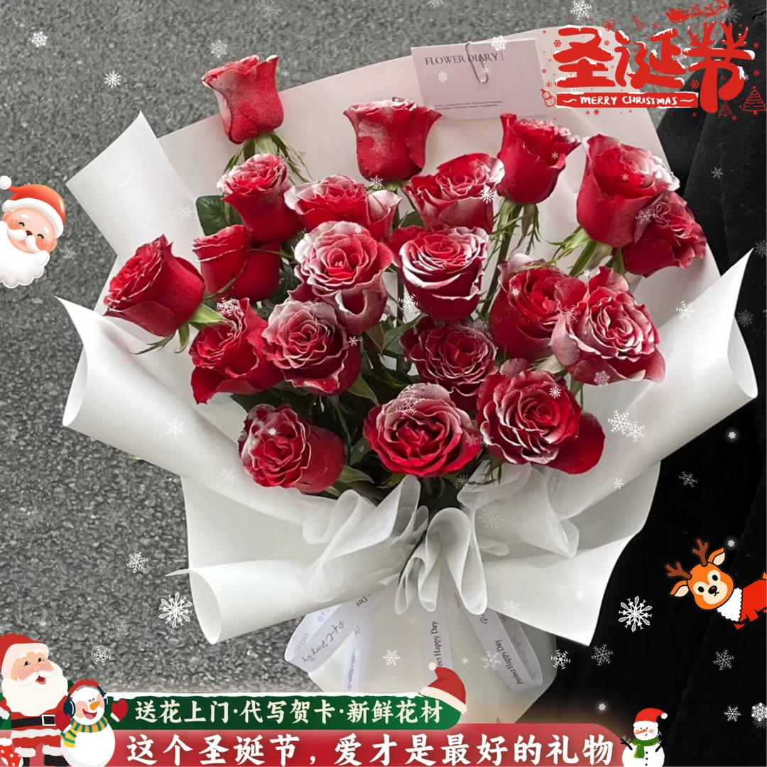 圣诞节礼物 我期待的不是雪 19枝落雪玫瑰花生日鲜花约会花束送女友闺蜜朋友男友花店鲜花配送