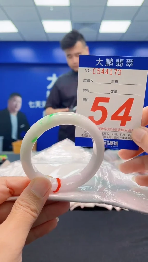 未镶嵌手镯翡翠AAAAAAAAA