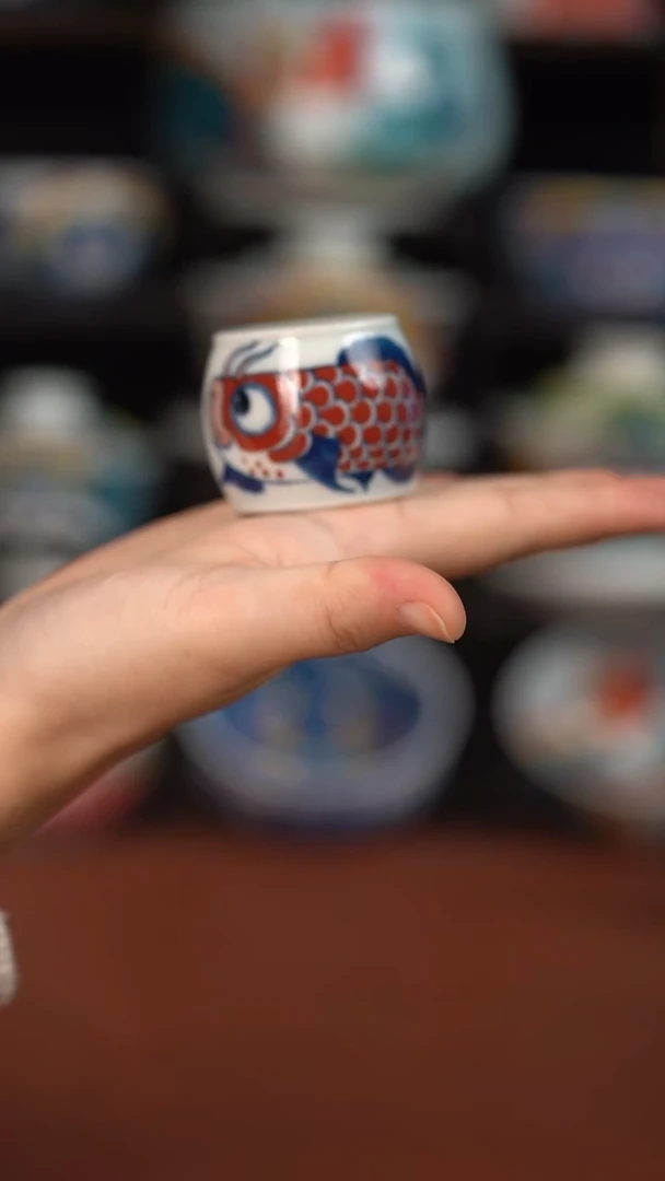 昨明龙鱼盖置（宠粉福利）