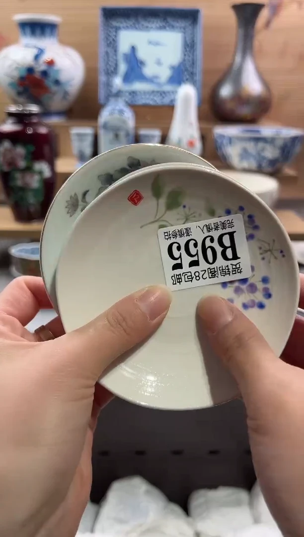 【闪购商品】瓷片当天满28米包邮B955