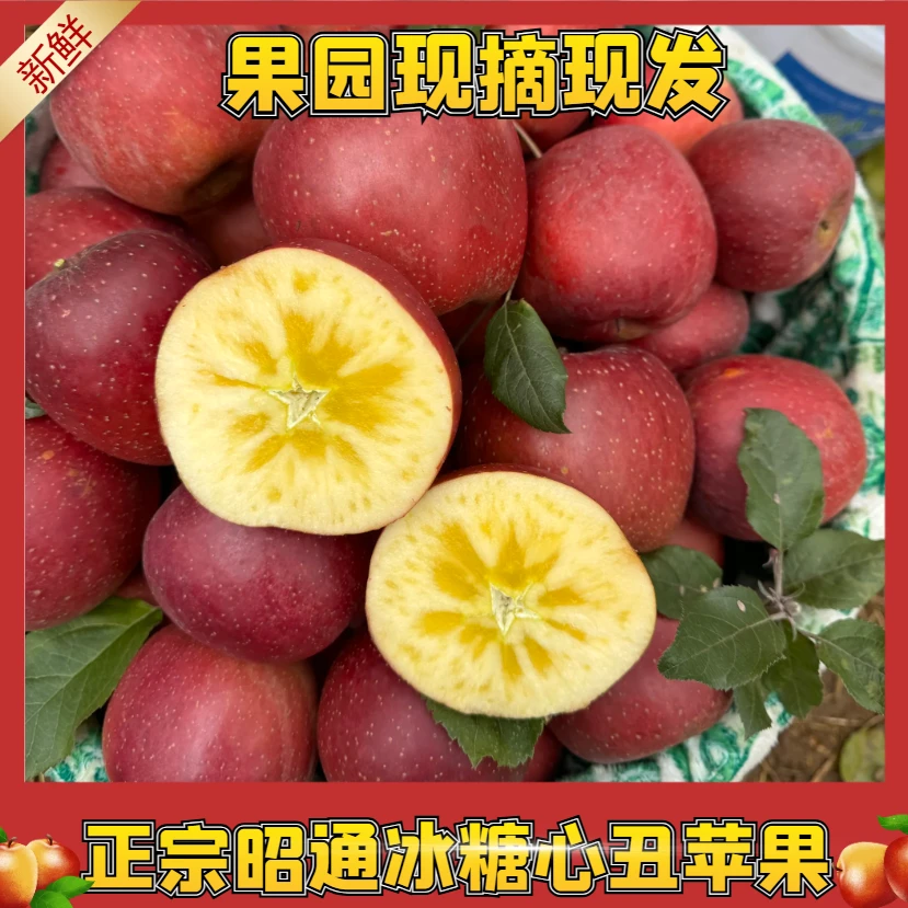 云南昭通糖心丑苹果现摘现发脆甜多汁果园直发
