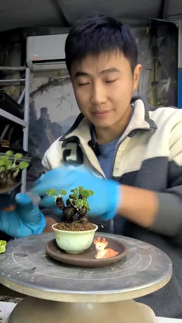 半**果中青园艺一物一拍花293