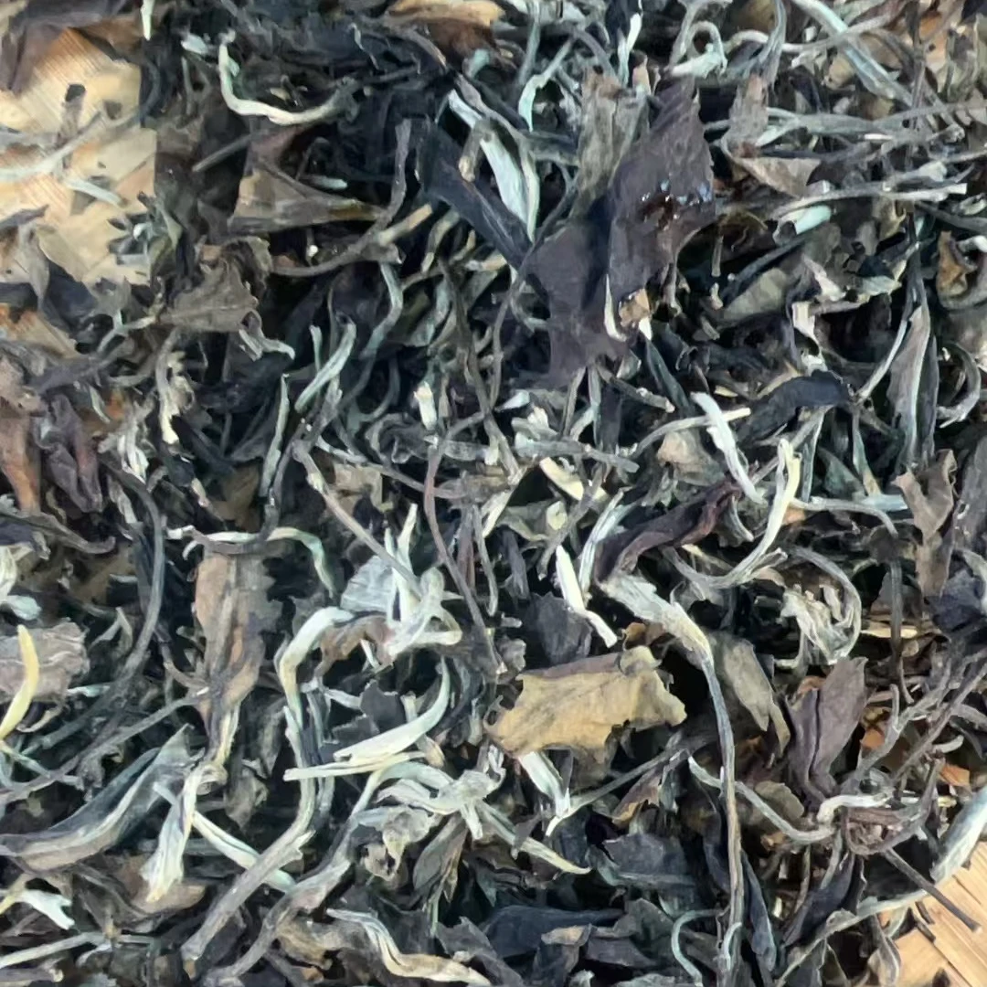 昆明千尊古普洱茶2025百花潭纯古树白茶357克饼