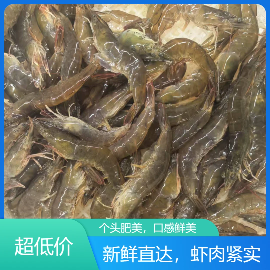 【海水大虾两斤/三斤】保鲜不保活（顺丰包邮）精品海鲜
