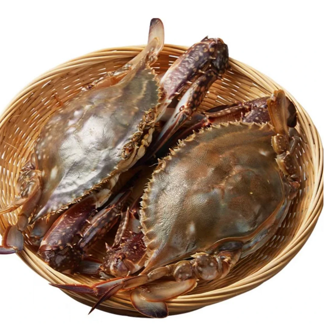 【冻蟹】（大号）冻三角蟹2-10斤（每斤3-4只）单只3两左右