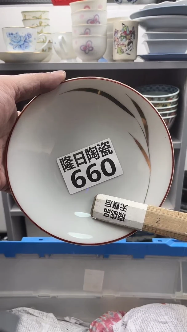 【闪购商品】瓷片longritaoci660