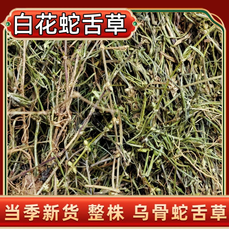 白花蛇舌草乌骨蛇舌草新鲜干货整株蛇舌草当季新货