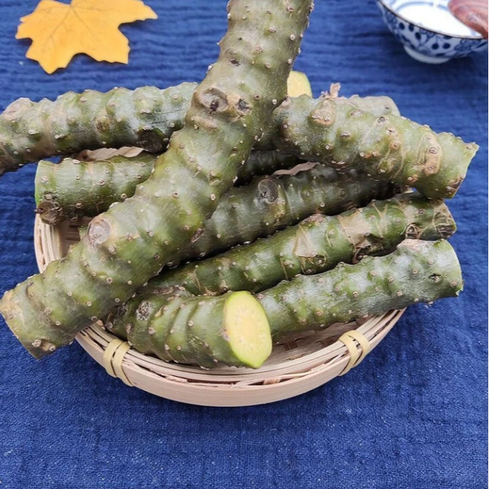 云南新鲜黑苦藤千里寻根苦藤山藤大枯藤新鲜非干货斗鸡藤