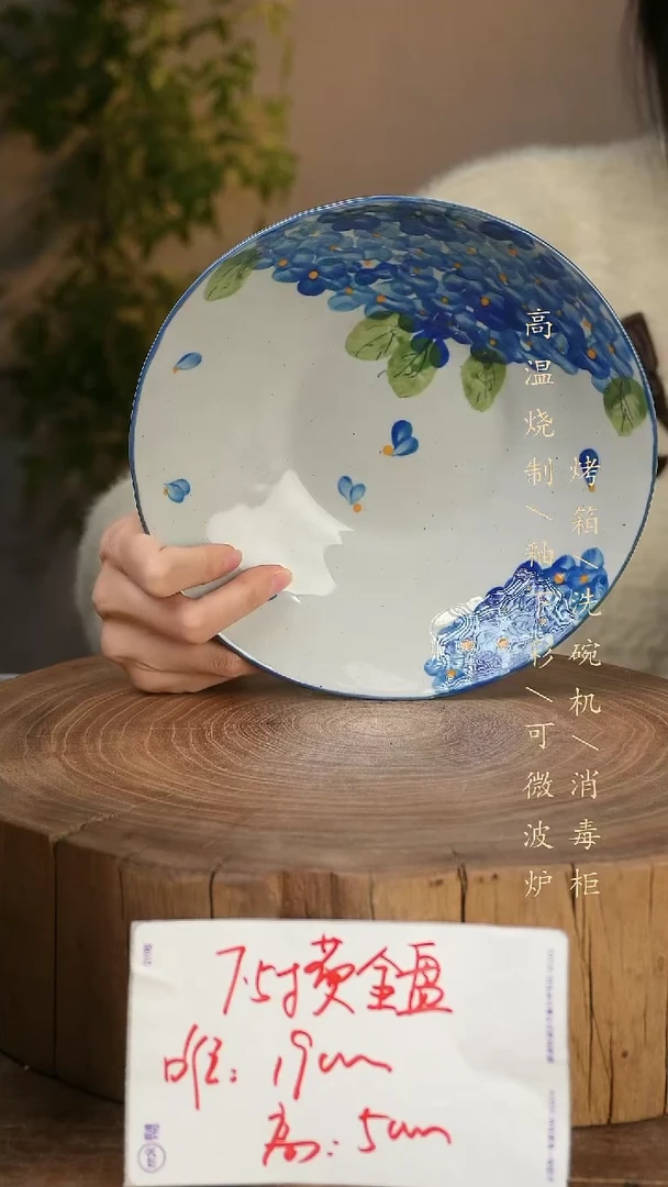 碗瓷景德镇手工手绘高温瓷釉下彩