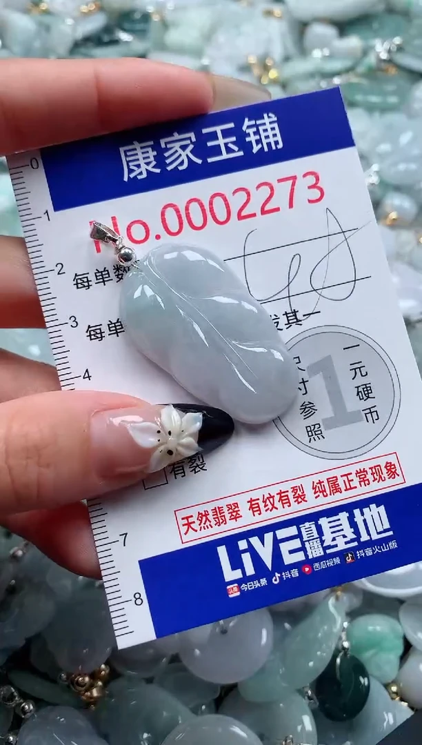 颈饰未镶嵌翡翠2273