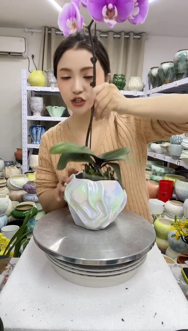 12.30陶瓷花盆直播链接高.    12.5  口10