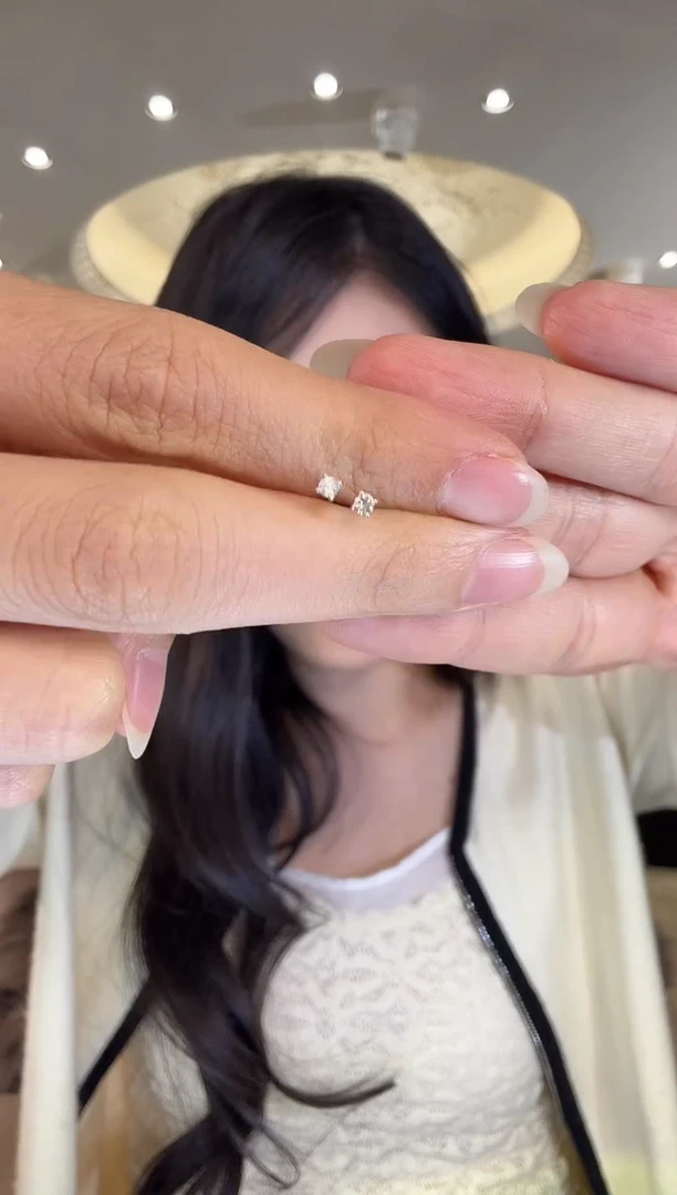 18K金镶嵌耳饰钻石W210|599