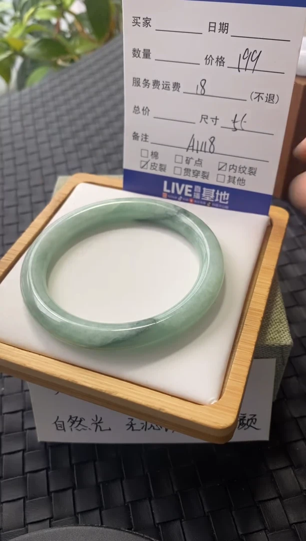 未镶嵌手镯翡翠A1118