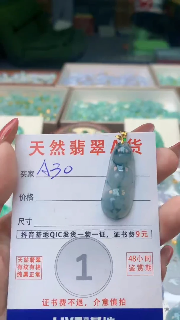颈饰未镶嵌翡翠天然A货翡翠挂件
