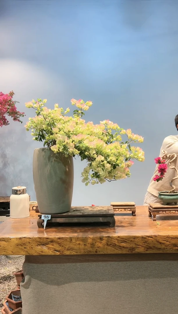 【闪购商品】AA903