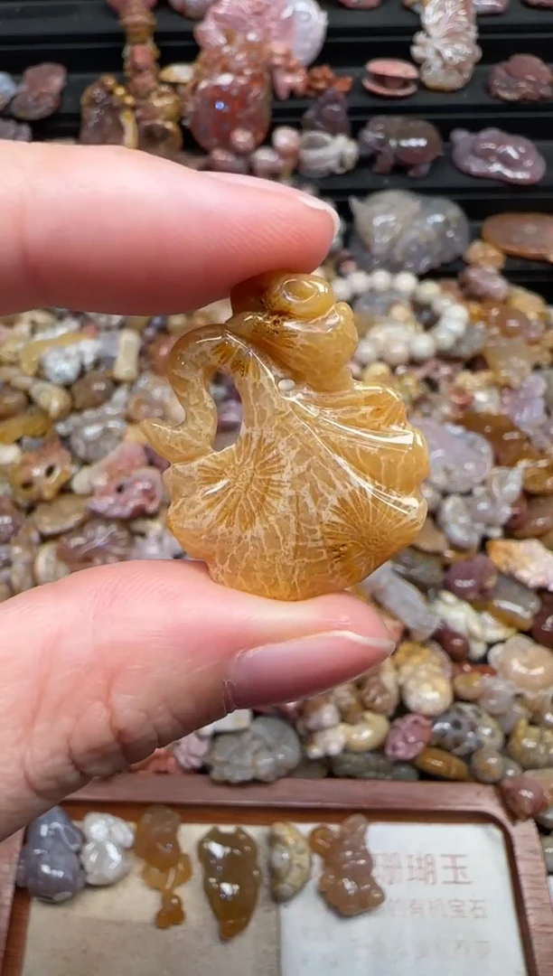 颈饰未镶嵌硅化珊瑚（珊瑚玉）604