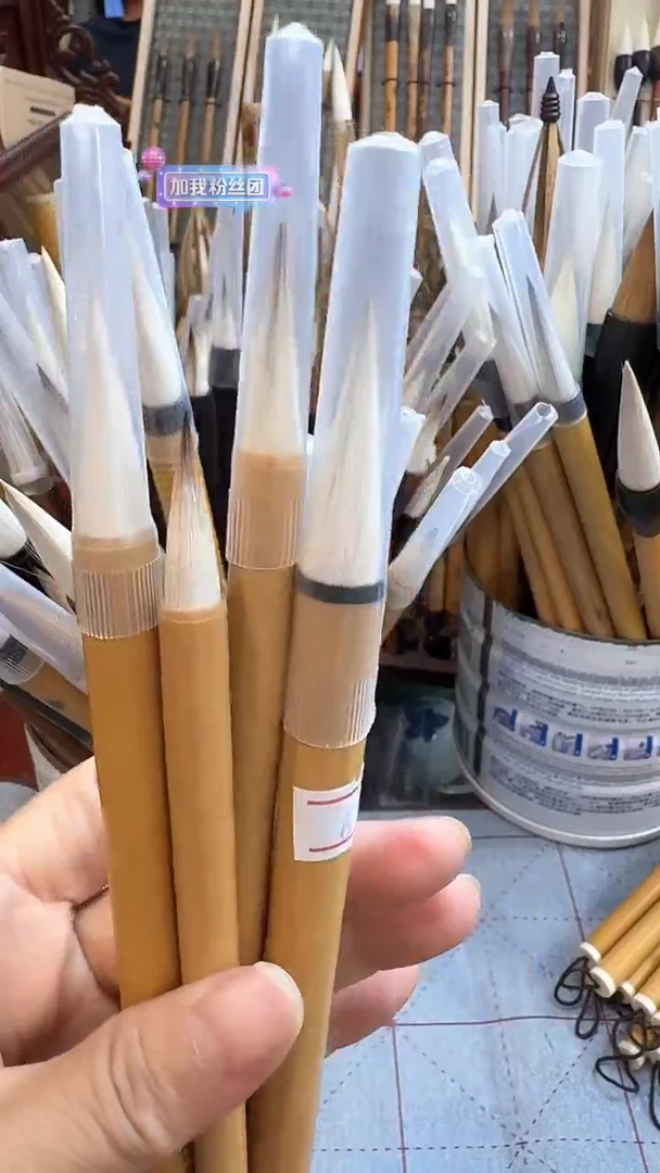 国根笔庄 6号单.