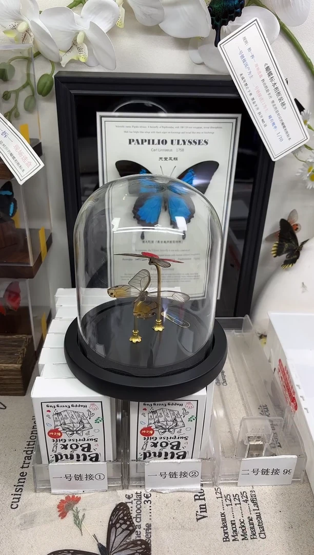 有机玻璃晶眼蝶组合玻璃球