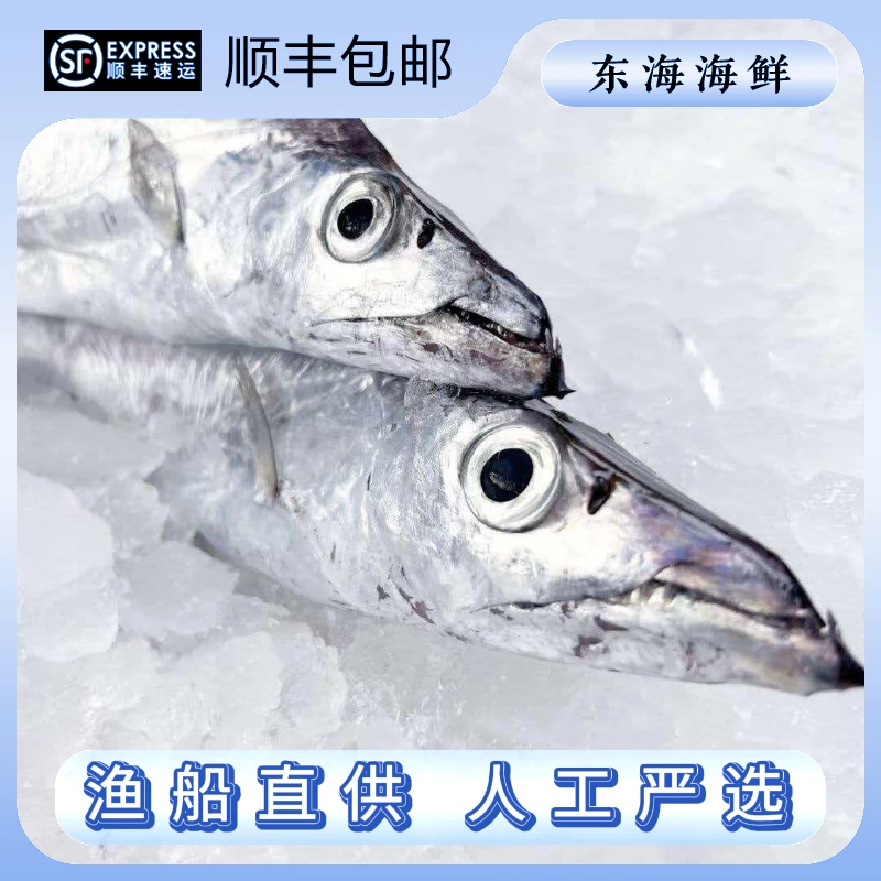 东海钓带 整条发货 速冻锁鲜 深海带鱼 顺丰包邮