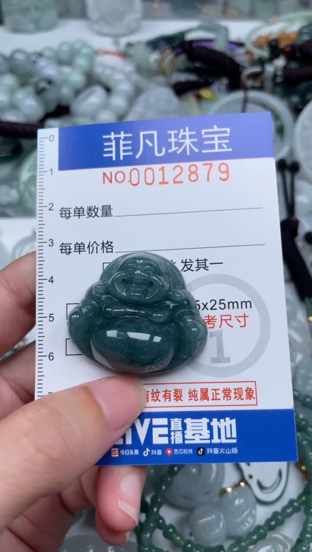 颈饰未镶嵌翡翠12879