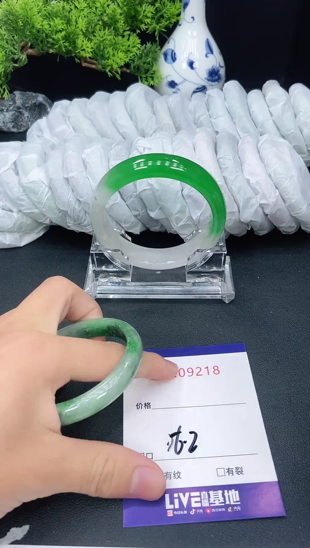 未镶嵌手镯翡翠9218